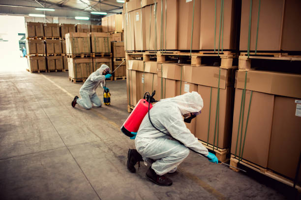 Best Exterminator Services  in Lake Shore, MN