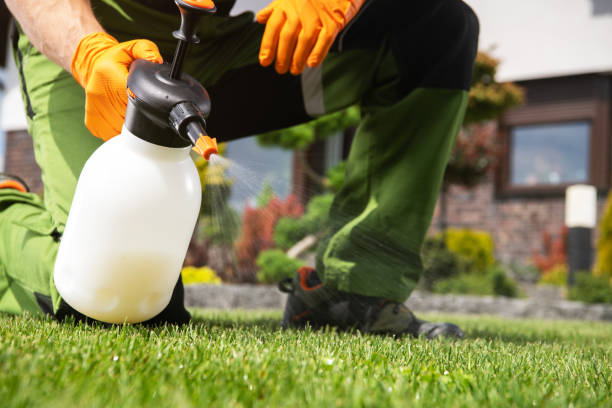 Best Residential Pest Control  in Lake Shore, MN