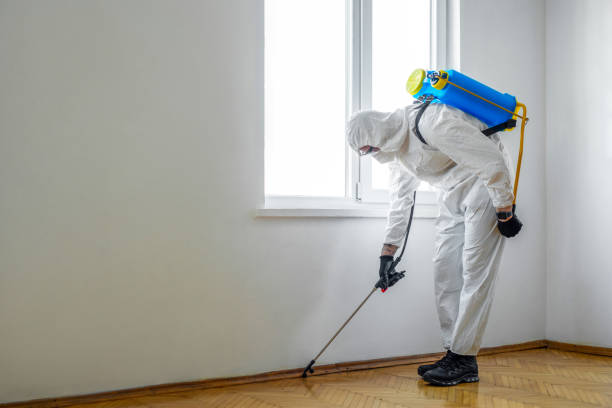 Best Best Pest Control Companies  in Lake Shore, MN