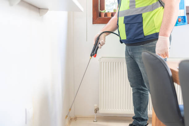 Trusted Lake Shore, MN Pest Control Experts