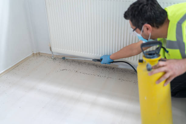 Professional Pest Control in Lake Shore, MN